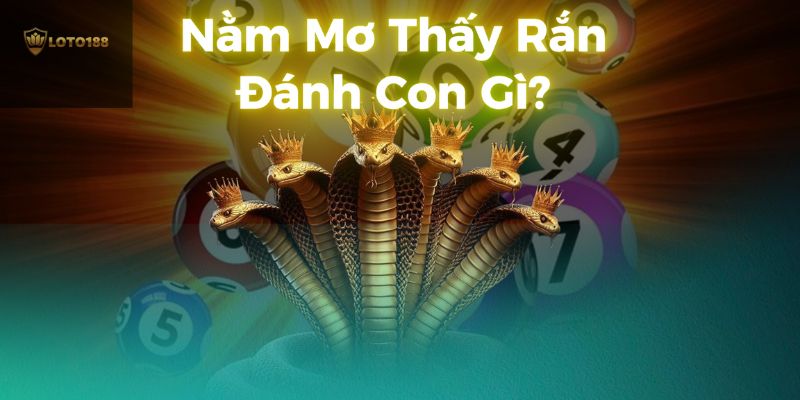 loto188-nam-mo-thay-ran-danh-con-gi