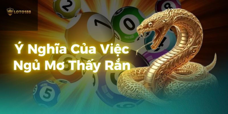 tim-hieu-y-nghia-nam-mo-thay-ran-tai-loto188